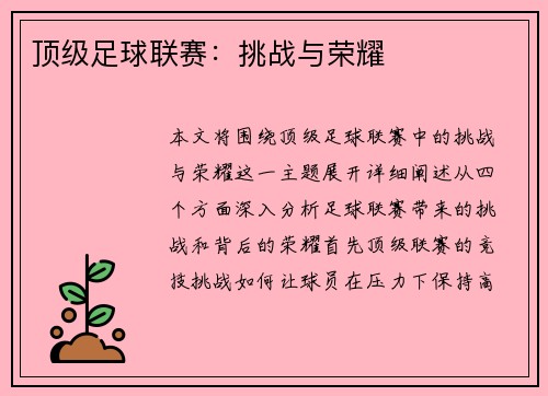 顶级足球联赛:挑战与荣耀